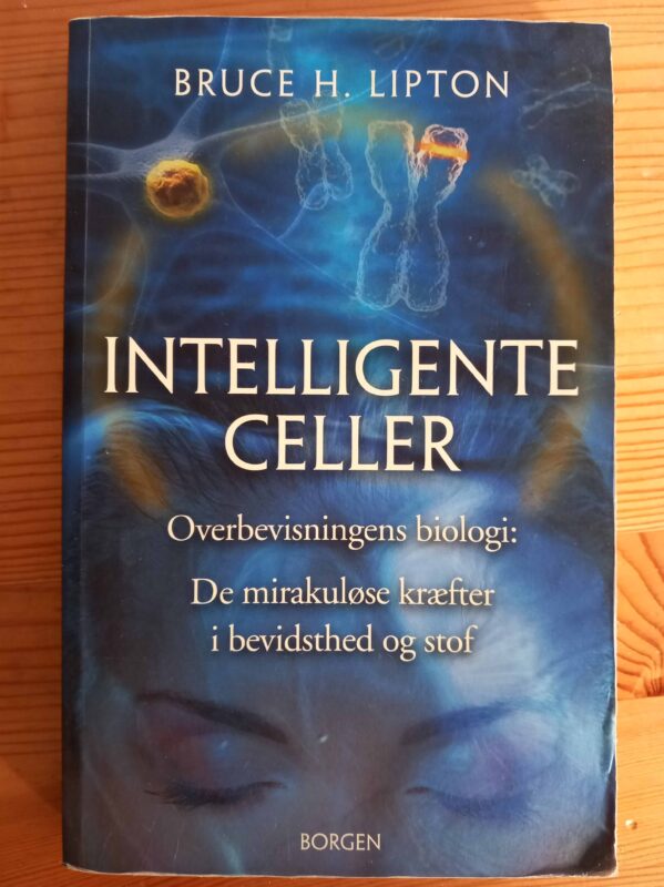 Intelligente Celler